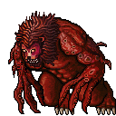 Rokita