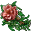Valentine Event – Dzika Róża